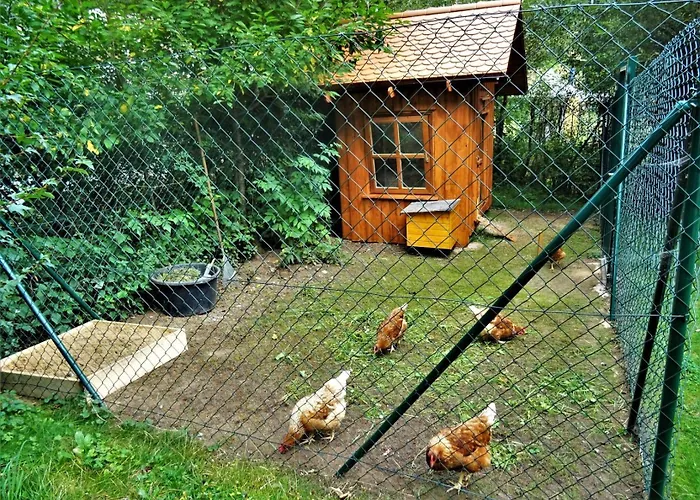 Apartment Hohe Hiltpoltstein